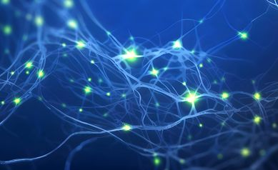 Researchers find neurons work as a team to process social interactions