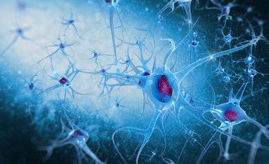 Researchers find rhythmic brain activity helps to maintain temporary memories