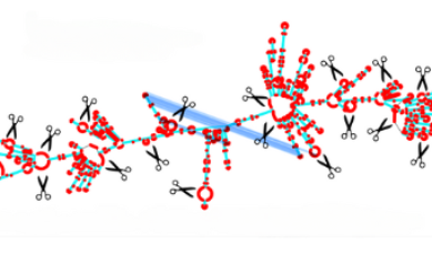 A Search Engine for mRNA: Algorithm Identifies Optimal Sequences to Improve COVID Vaccines 
