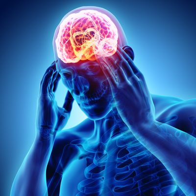 URMC researcher receives $8.3 million to study chronic pain and the brain