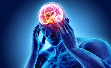 URMC researcher receives $8.3 million to study chronic pain and the brain