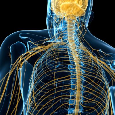From lab to life-changer: URMC neuromuscular researchers pave the way for gene therapy revolution