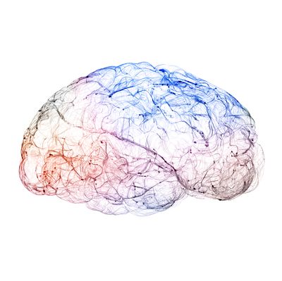 Researchers find possible neuromarker for ‘juvenile-onset’ Batten disease