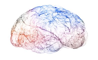 Researchers find possible neuromarker for ‘juvenile-onset’ Batten disease