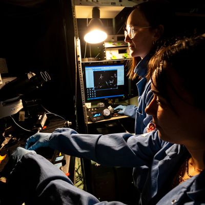 Transforming Intellectual and Developmental Disabilities Research