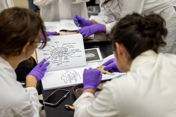 Students in neurobiology lab.