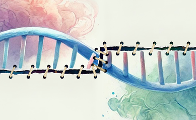New Discovery Enables Gene Therapy for Muscular Dystrophies, Other Disorders