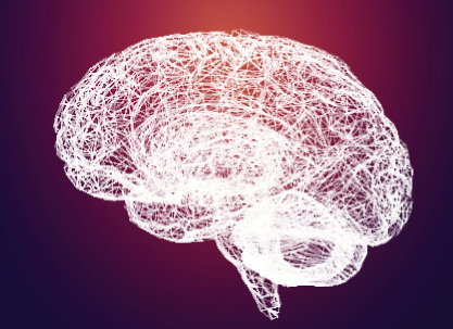 A colorful brain using warm colors