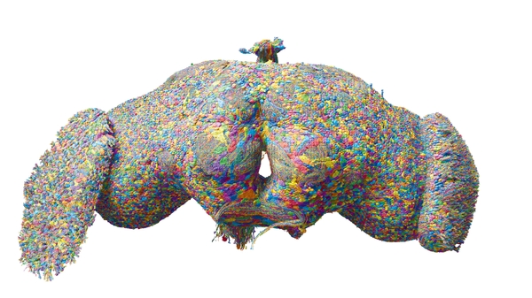 A 3D rendering of all 139,255 neurons in the adult fruit fly brain. Data source: FlyWire.ai; Rendering by Philipp Schlegel, University of Cambridge/MRC LMB