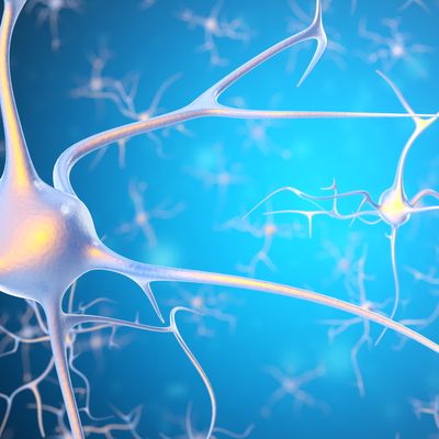 Research finds neurons look different in children with autism