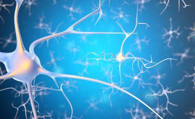 Research finds neurons look different in children with autism