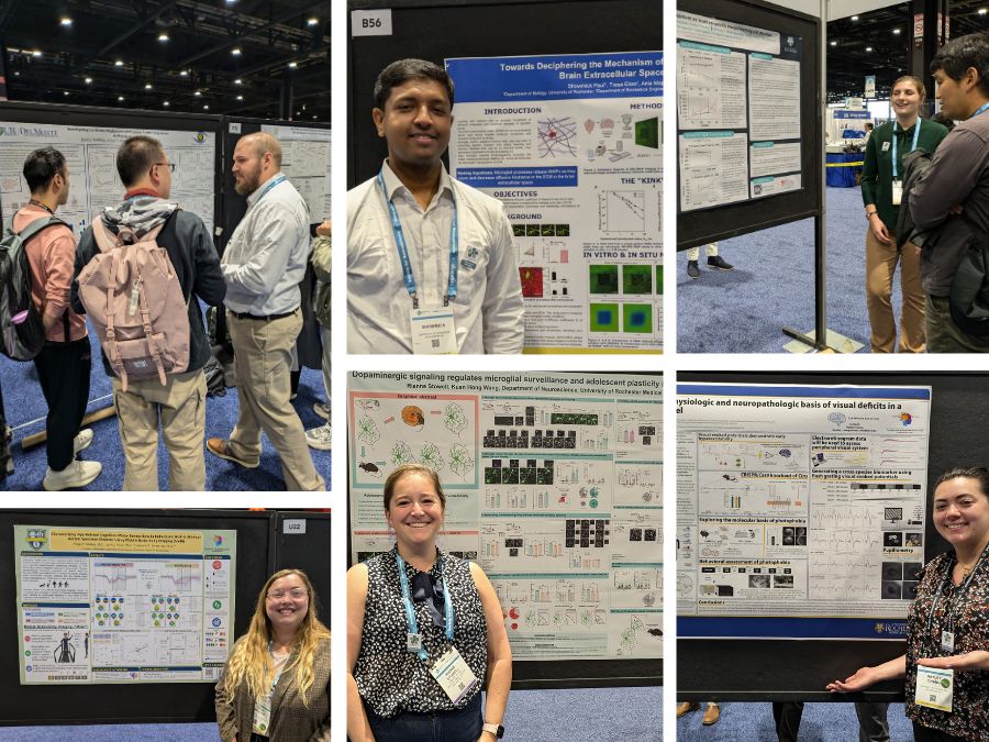 People presenting and posing with scientific posters