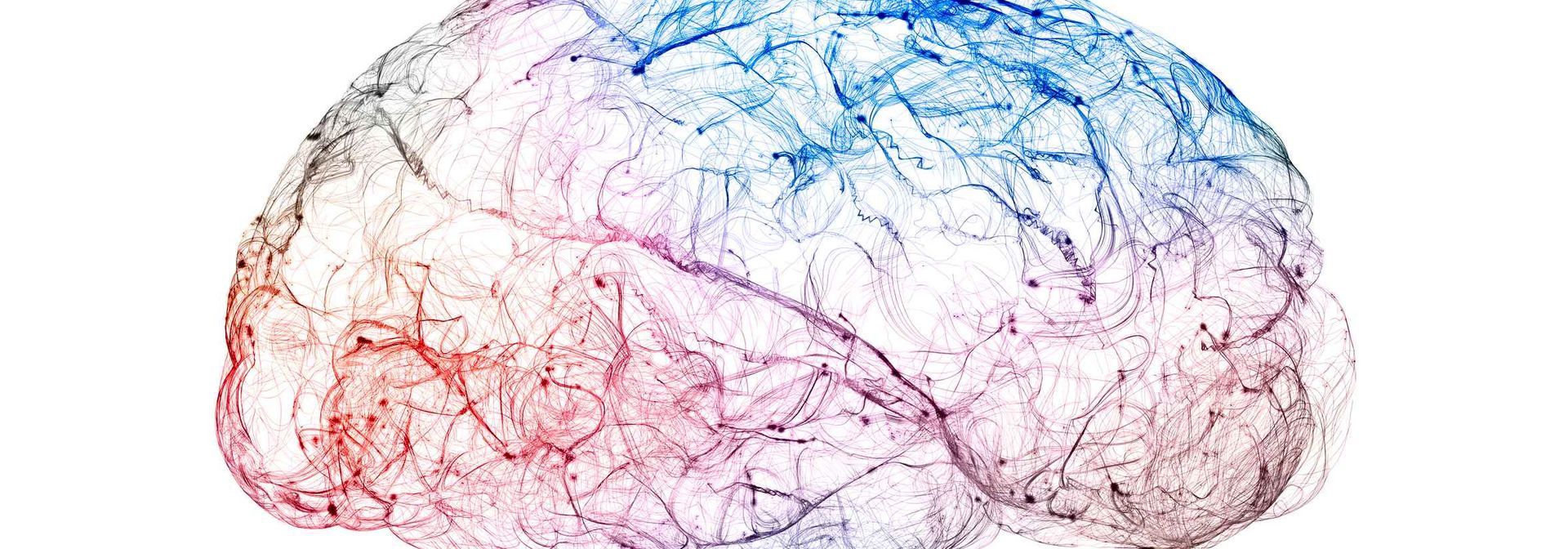 Biotin May Shield Brain from Manganese Damage, Study Finds Biotin May Shield Brain from Manganese Damage, Study Finds