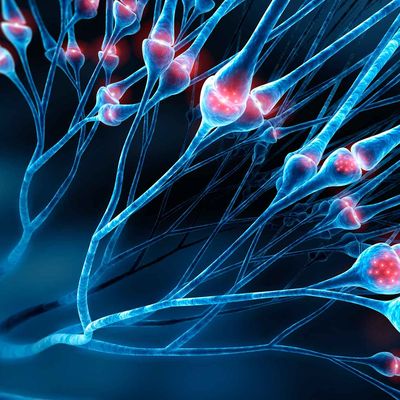 peripheral neuropathy 3_11zon