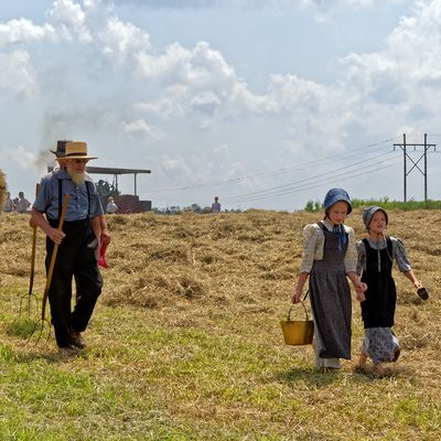 Mennonite Farm