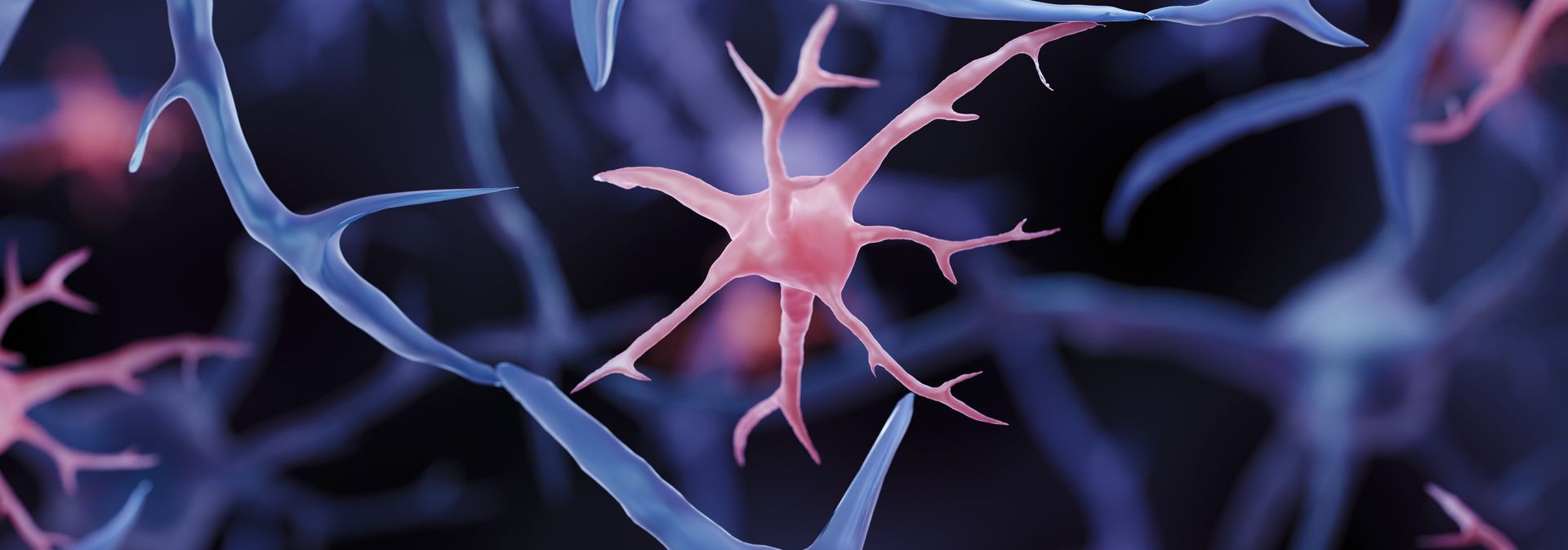 Brain Immune Cells May Drive More Damage in Females than Males with ...