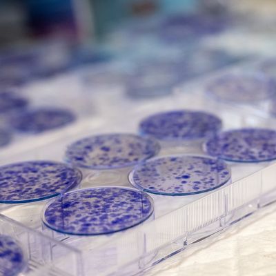 Why Research is the Backbone of NCI Designation