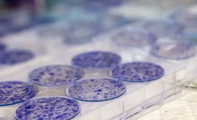 Why Research is the Backbone of NCI Designation