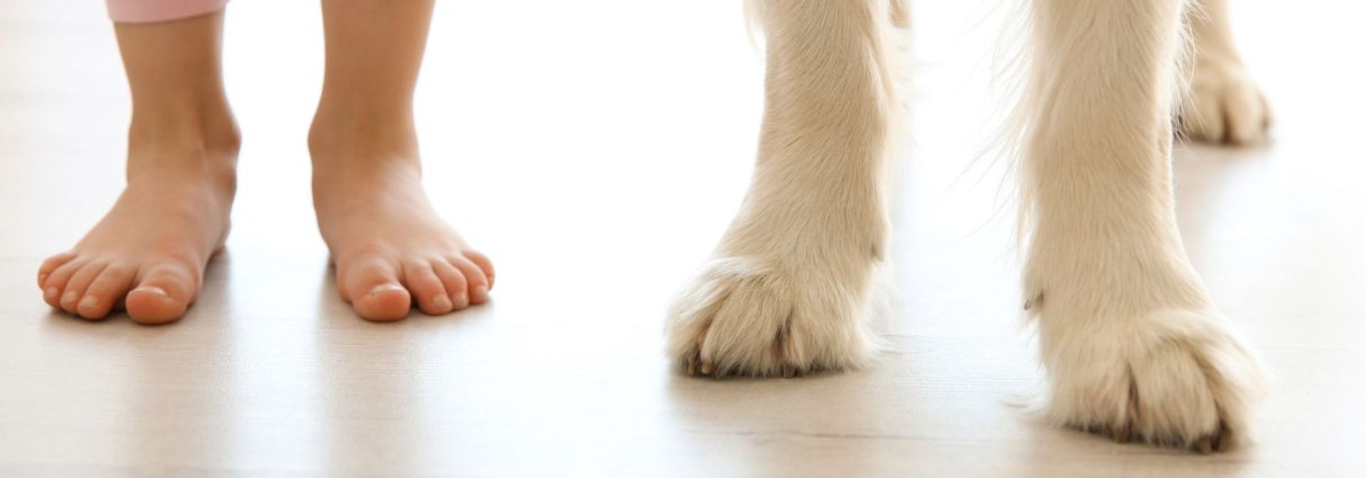 Dog Bites and Kids: What to Do (and Say) If It Happens | University of ...