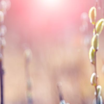 AdobeStock_480793607