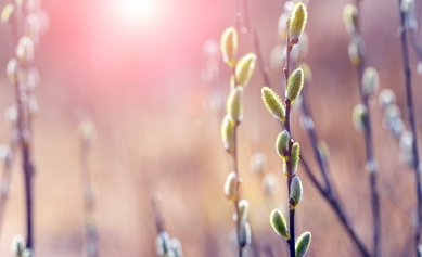 AdobeStock_480793607