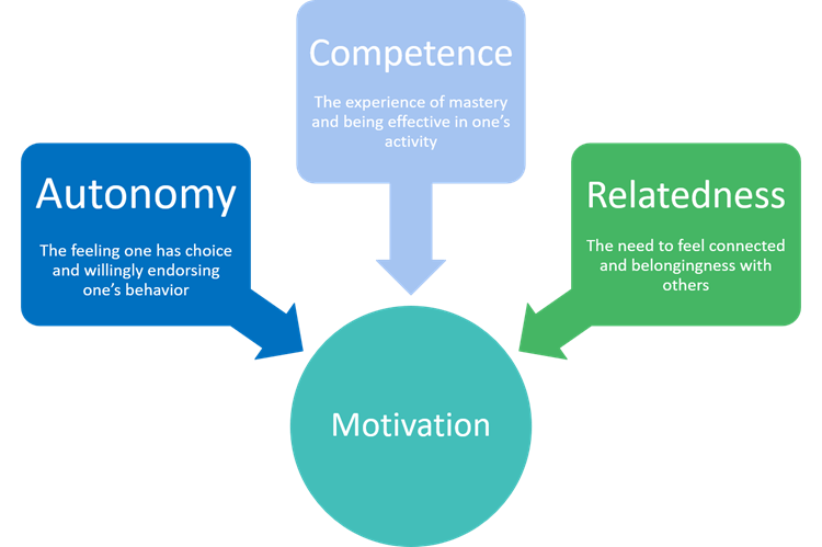 Blue and green visualization of Autonomy, Competence, and Relatedness