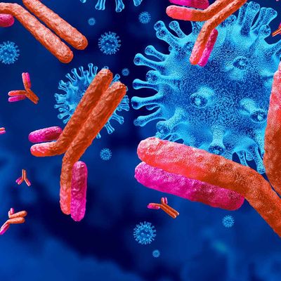 immune cells_11zon