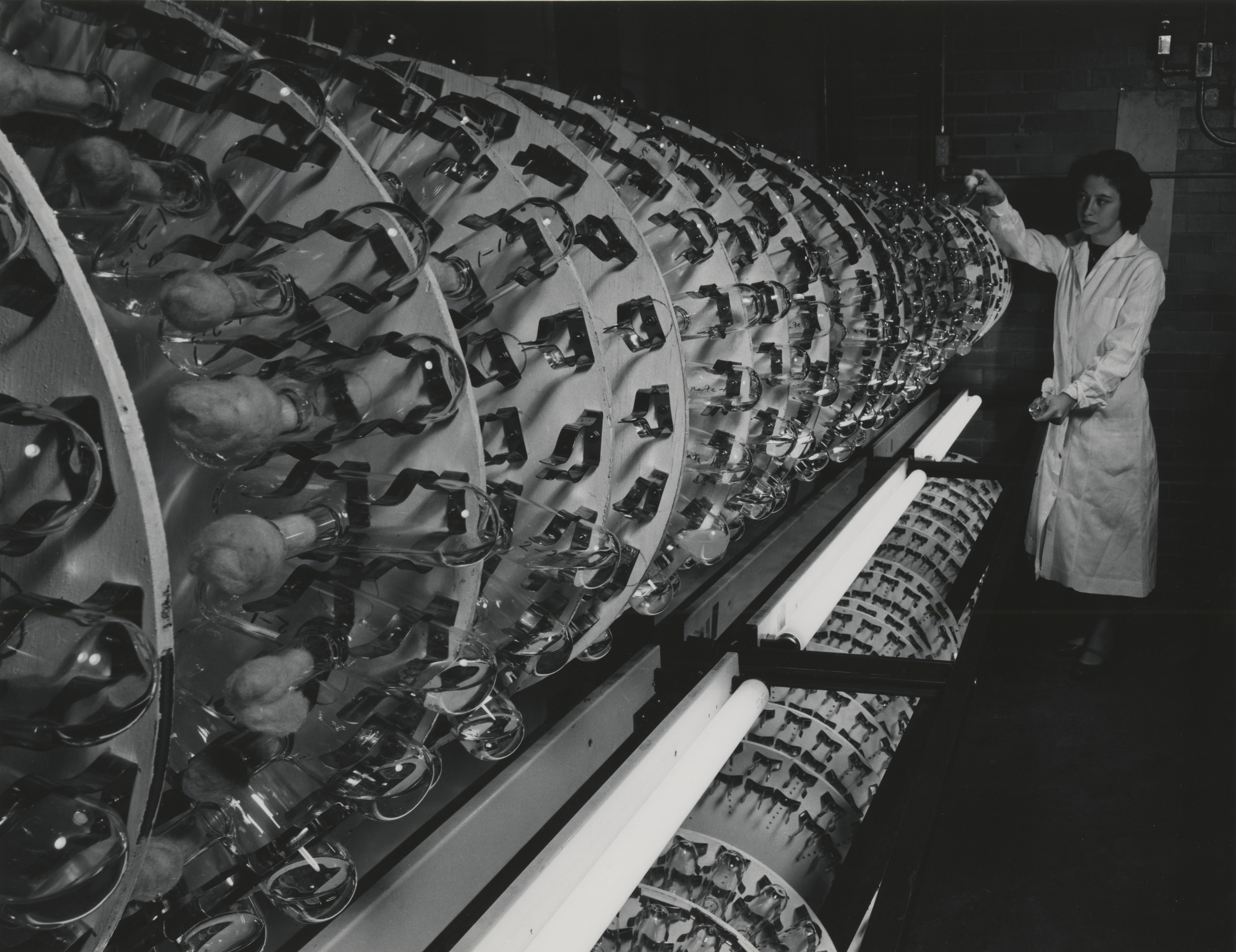 Conducting a medical research project.