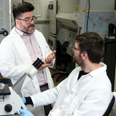 Scientists Discover an Unexpected Food Source for Tumors