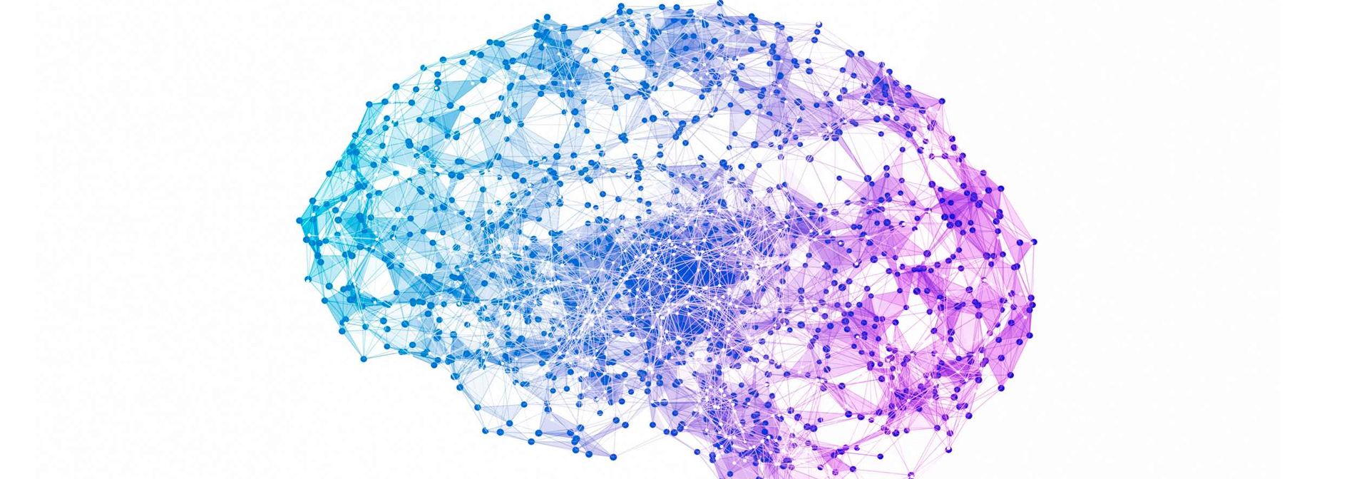 Shedding Light on the Brain: New Method Controls Neural Pathways ...