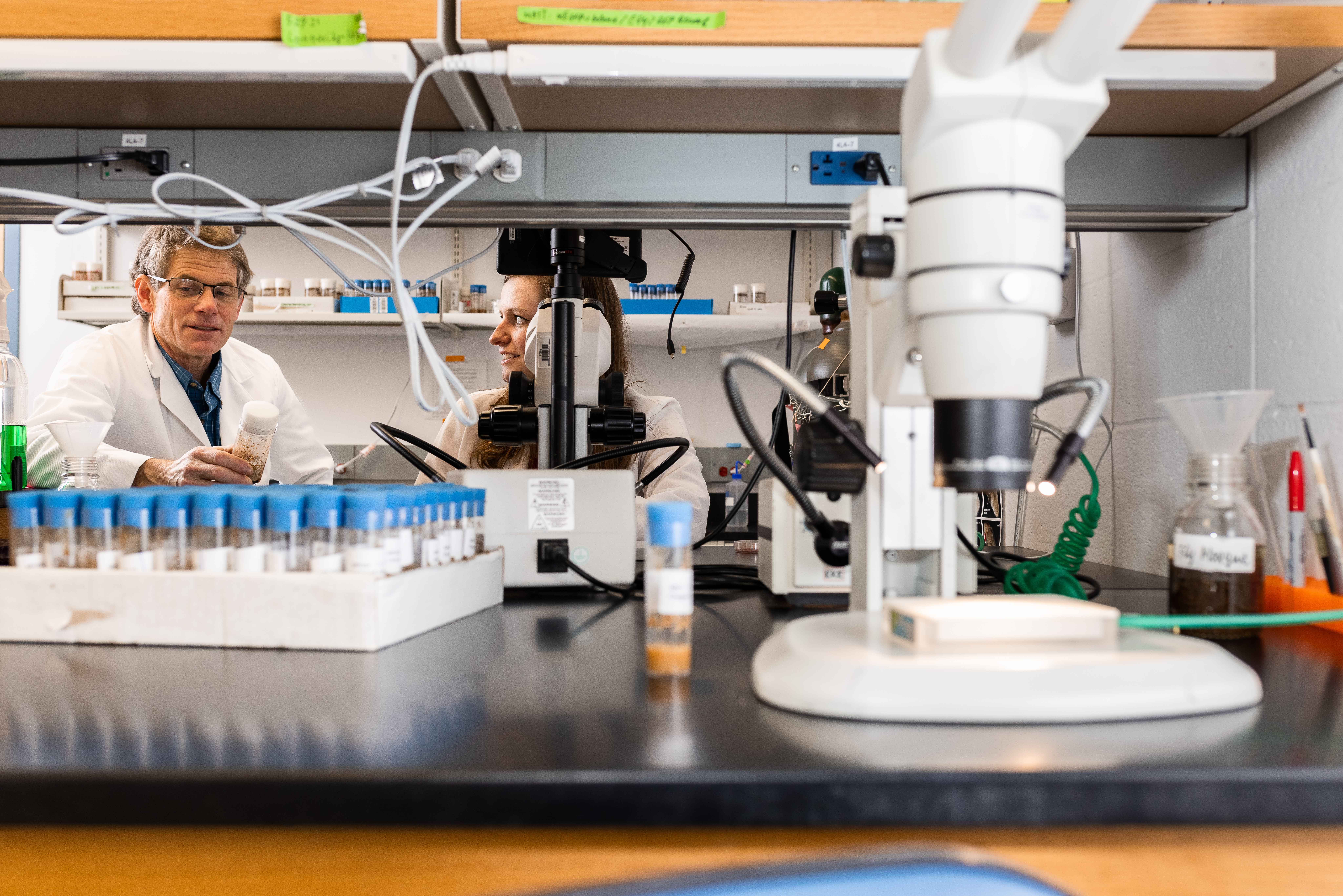 Matthew Rand Study Examines How Pregnancy May Help the Body Eliminate Mercury from ...