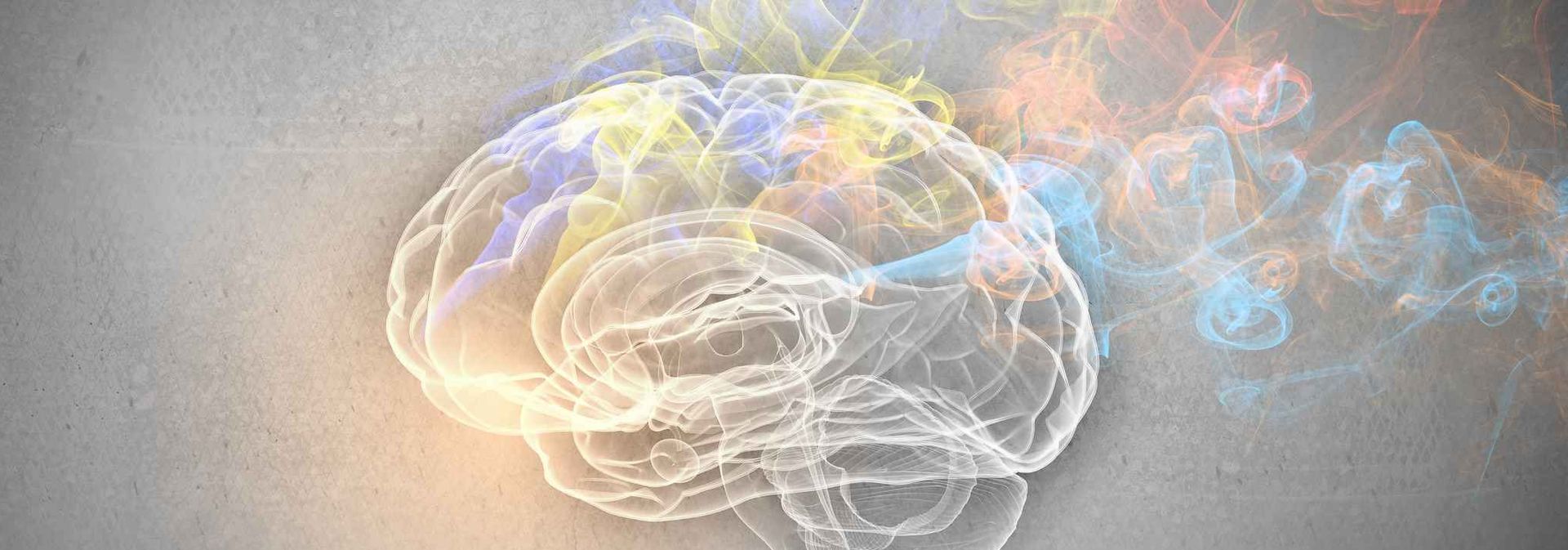 Air Pollution and Brain Health: What You Need to Know