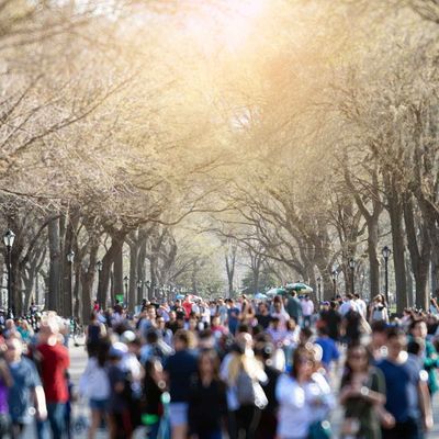 crowd in central park_web