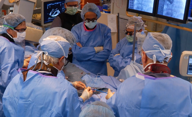 A team of cardiologists perform tavr procedure