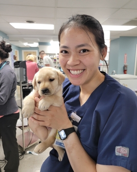 A woman wearing scrubs smiles and holds up a small Yellow Labrador Retriever puppy.