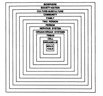 Fig. 2: Continuum of natural systems Engel. Am J Psychiatry, 1980 