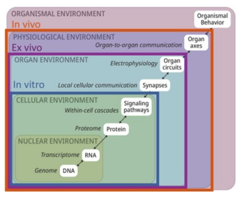 Fig. 1: Environmental effects on health Cory-Slechta, Downs & Sobolewski. Neurotoxicol., 2025