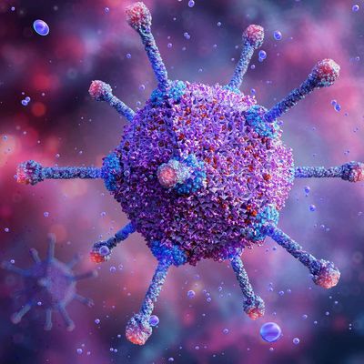 adenovirus_web