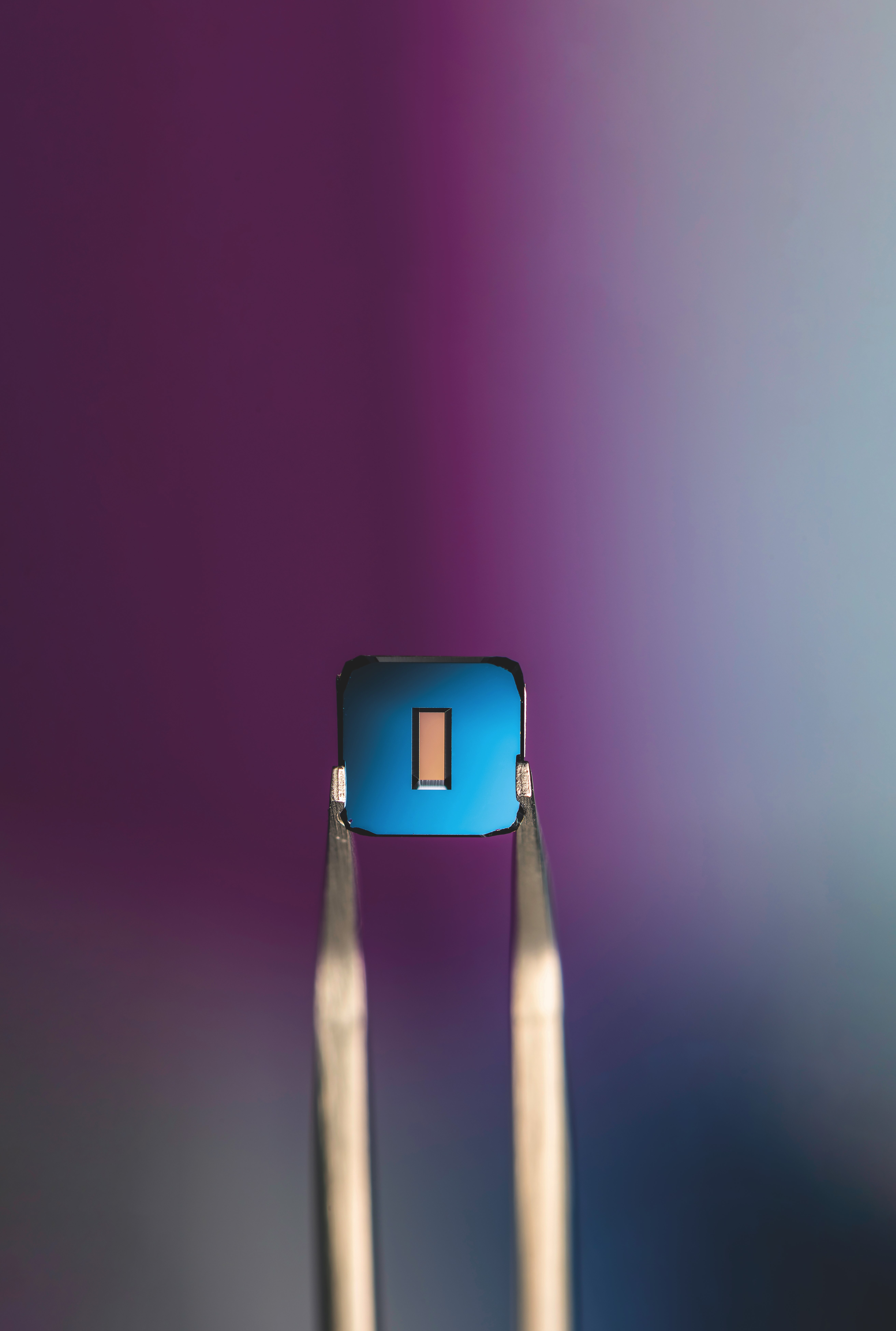 A tiny sensor is held up with tweezers. 