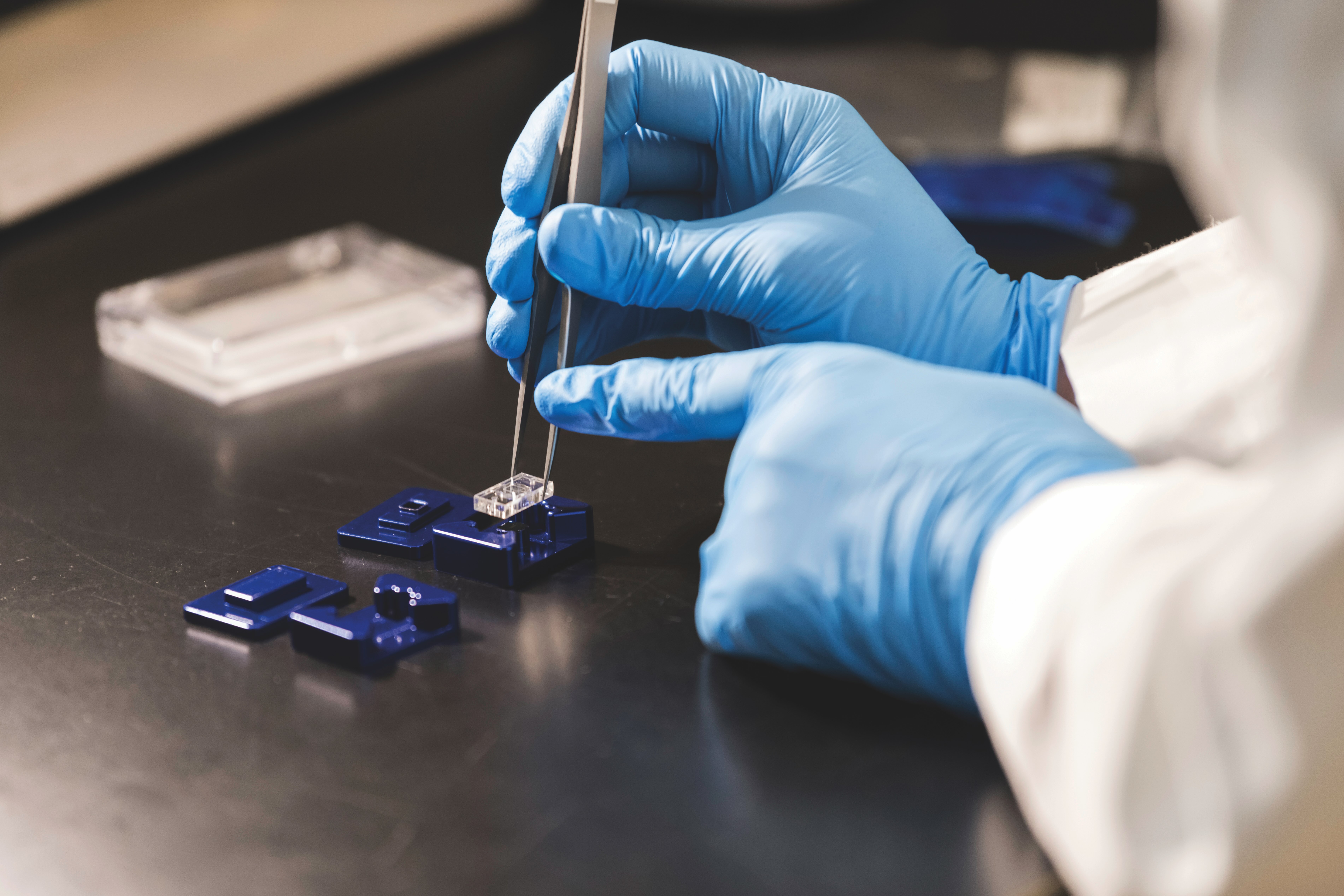 Closeup image of a researcher's hands using tweezers to guide components into a modular tissue chip.