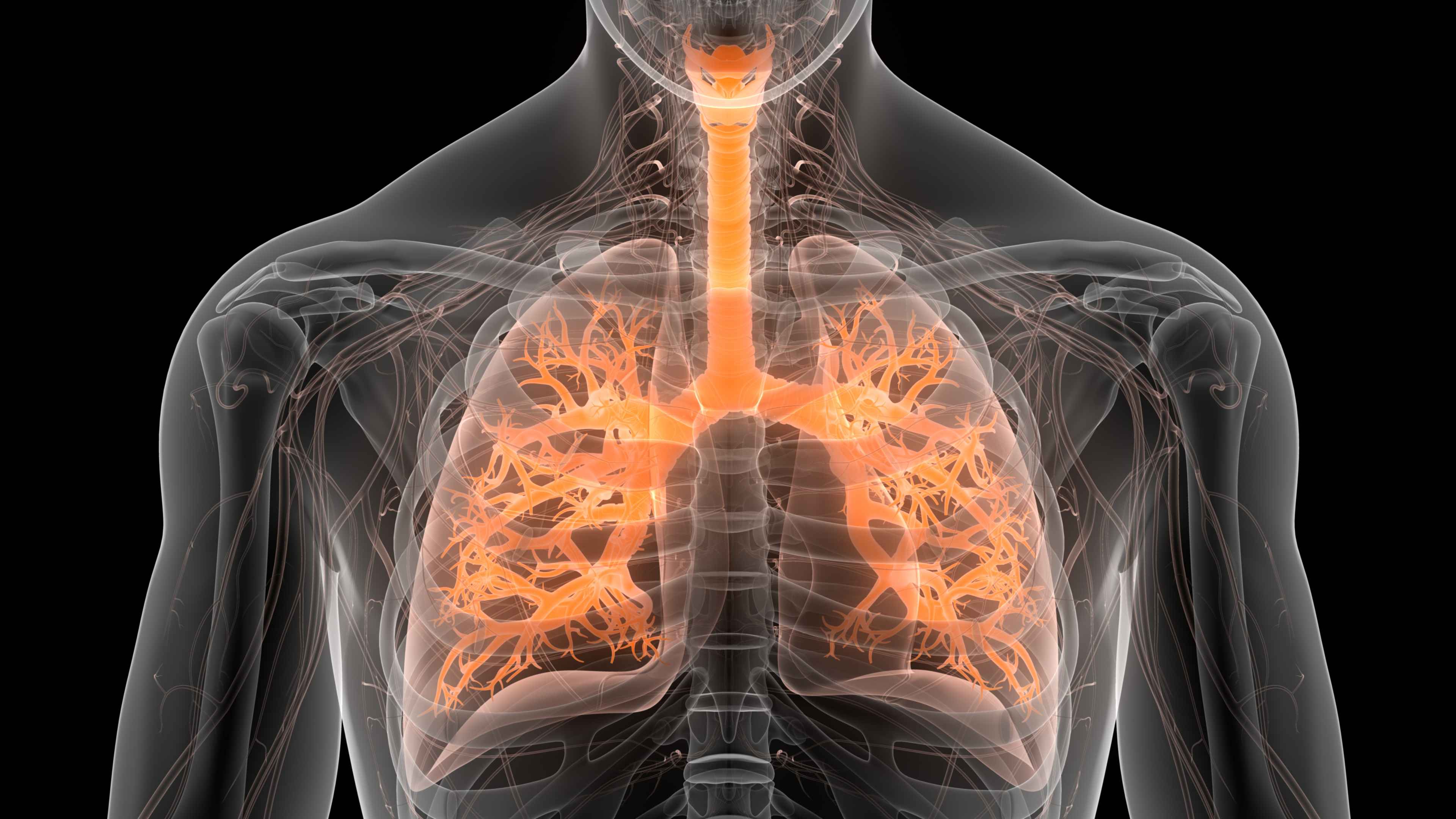 Hidden Immune Cells in the Lung Could Lead to Better Flu Vaccines