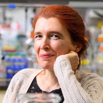 The Good and Bad Sides of a Protein Linked to Aging