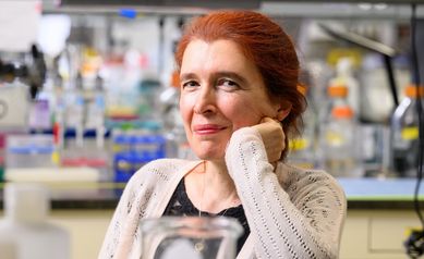 The Good and Bad Sides of a Protein Linked to Aging