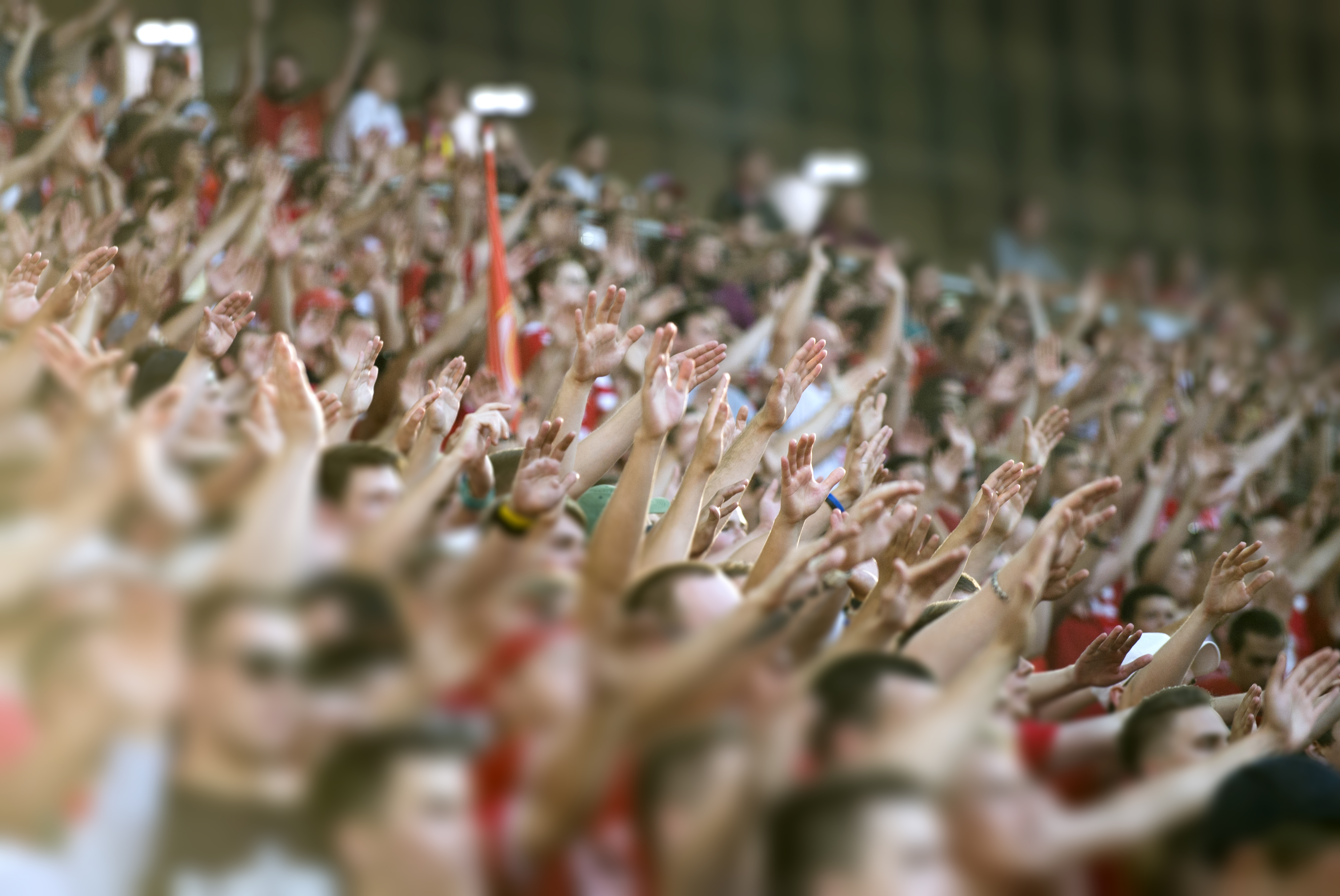 Fans cheer in a stadium