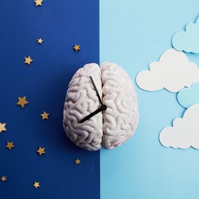 Maiken Nedergaard Elected to National Academy of Medicine for Pioneering Brain Research