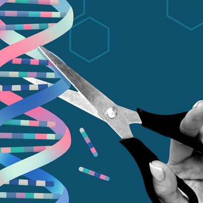 From Deleting Disease to Designer Babies: Expert Weighs in on the Ethics of Gene Editing