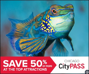 File CityPASS File CityPASS