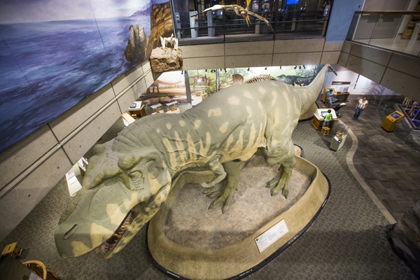 MOS_credit-Nic-Czarnecki_T.rex