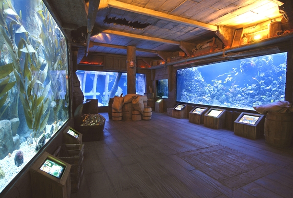 DAH_shipwreck-exhibit