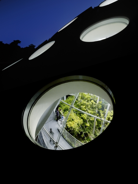 CAS_living-roof-night